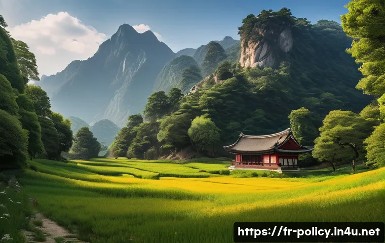 정책분석사와 국제기구의 정책 사례 관련 이미지 1